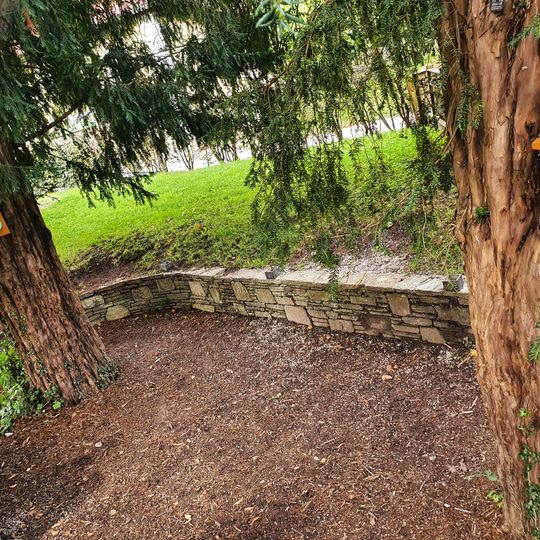 Zwei Eiben bei der Schiffsanlegestelle Ebensee