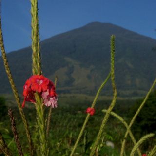 Mount Ciremai National Park