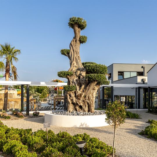 Camping Club Les Brunelles