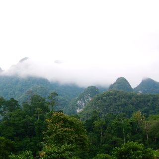 Parque Nacional Xuân Sơn