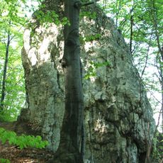 Nature reserve Szklarki Valley