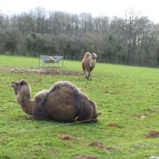 Heythrop Zoological Gardens