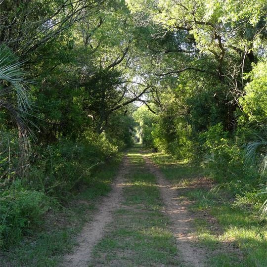 Mburucuyá National Park