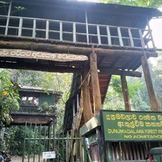 Dunumadallawa Forest