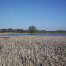 Rezerwat przyrody Stawy Gnojna im. rodziny Bieleckich