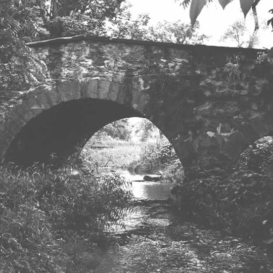 Bridge in Williams Township