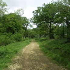 Pipewell Woods