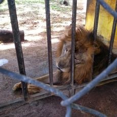 Saipan zoo