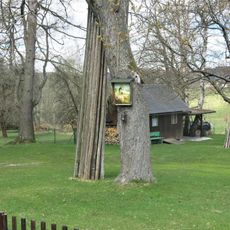 Obrázek Dobrý pastýř na stromě u domu 246 v Lipové