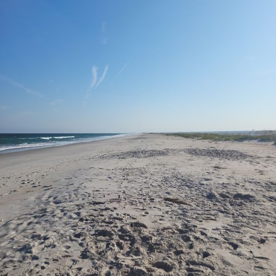 Masonboro Island Reserve