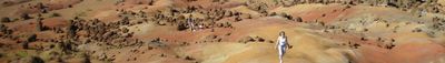 Panoramic View 1
