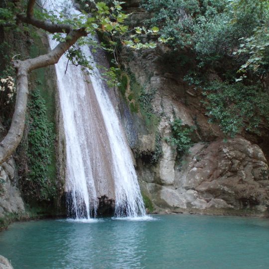 Neda