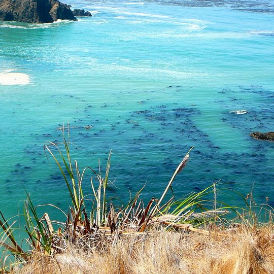 Greenwood State Beach