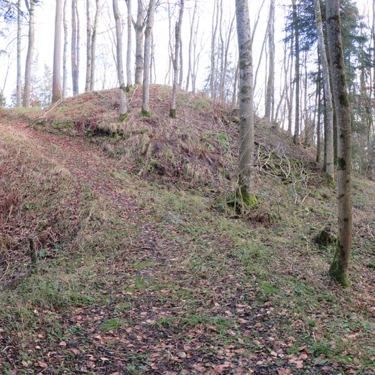 Burgstall Haldenberg