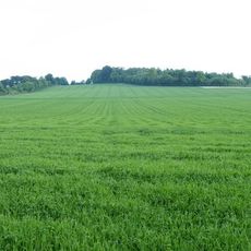 Bowl barrow on Copley Hill
