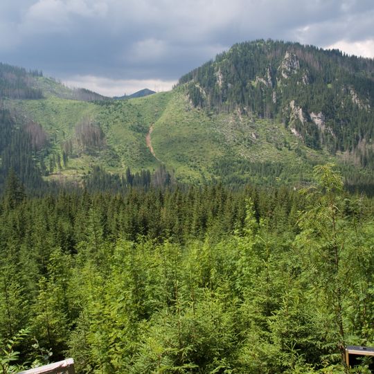 Suchy Wierch Jaworowy