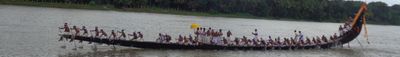 Panoramic View 0