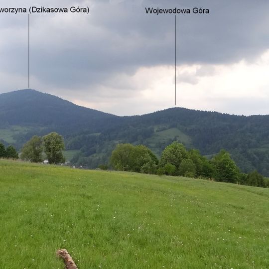 Wojewodowa Góra