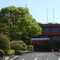 Kama