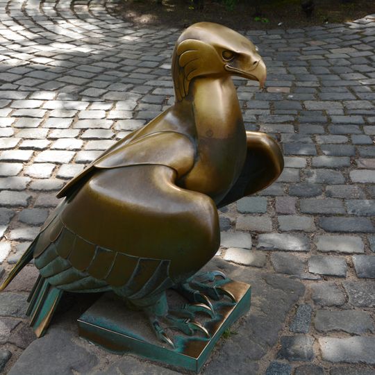 Adler im Zoo Dresden