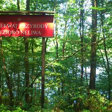 Rezerwat przyrody Jezioro Neliwa