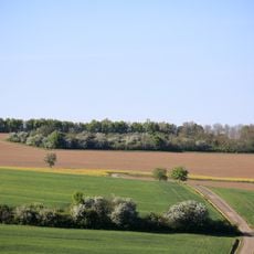 Feldgehölz „Kirschenberg“