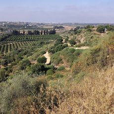 Punto di vista panoramico