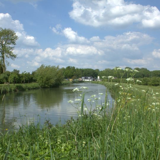 Linge