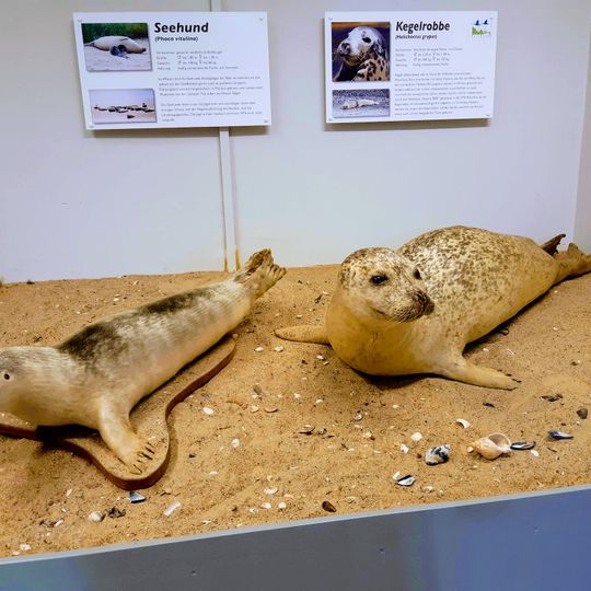 Naturzentrum Nordfriesland