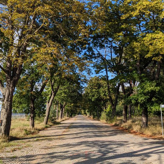 Kastanien-Ahorn-Allee