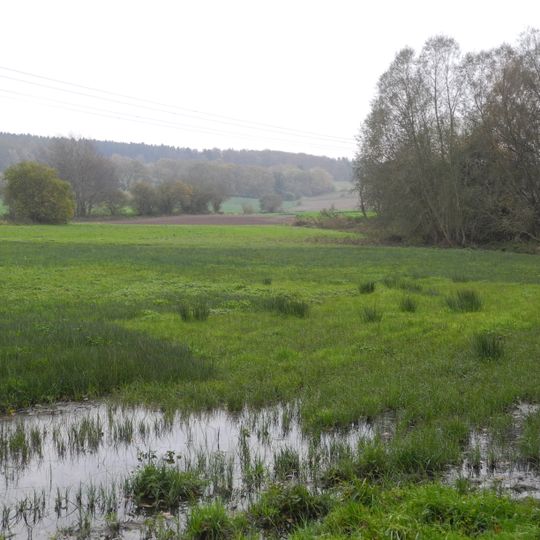 Vollmarshäuser Teiche