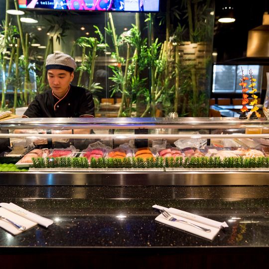 Wasabi's