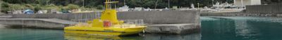 Panoramic View 1