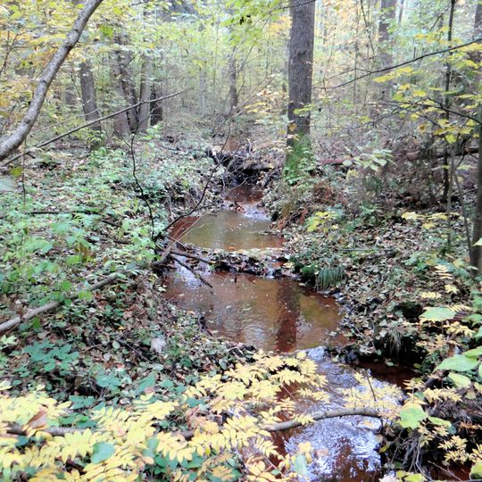 Rezerwat przyrody Rosochacz