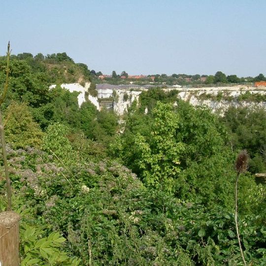 Chafford Gorges Nature Park