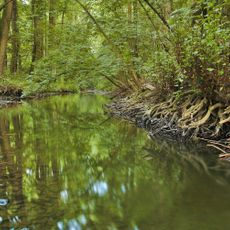 Pod zápovědským kopcem
