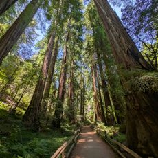 Muir Woods National Monument Equipment Shed