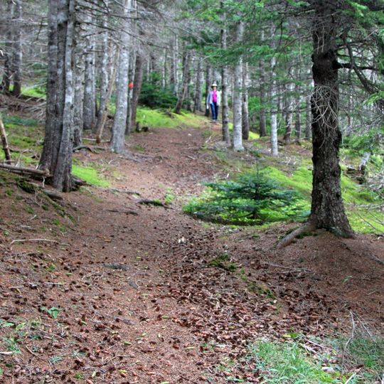 Wilkie Sugarloaf trail