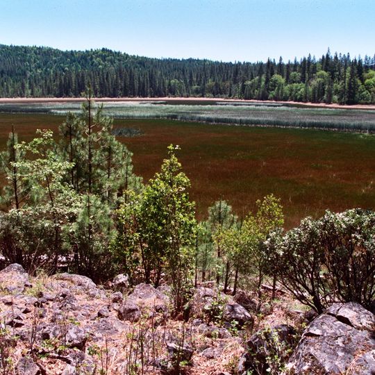 Boggs Lake Ecological Reserve