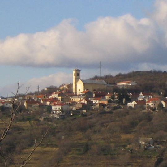 Praputnjak