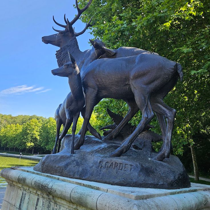 Cerf, biche et faon au repos