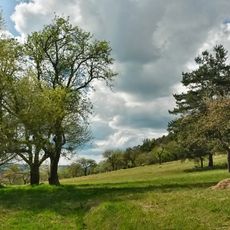 Hänge an Spitzlberg und Kunkelsbühl