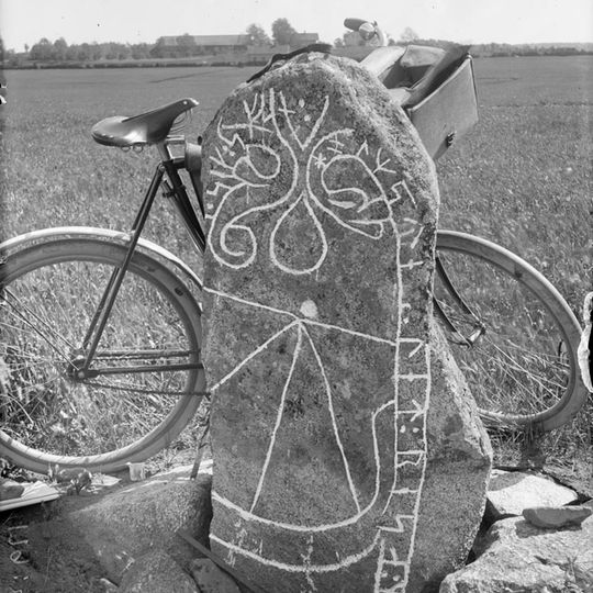 Västmanlands runinskrifter 17