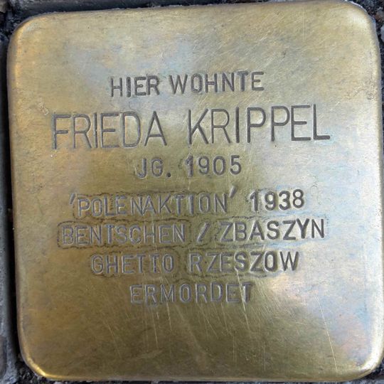Stolperstein für Frieda Krippel