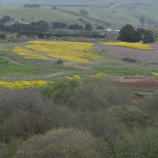 Hearst San Simeon State Park