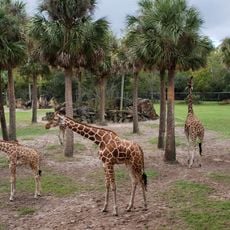 Jacksonville Zoo and Gardens
