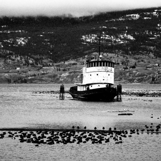 Canadian National Tug no. 6