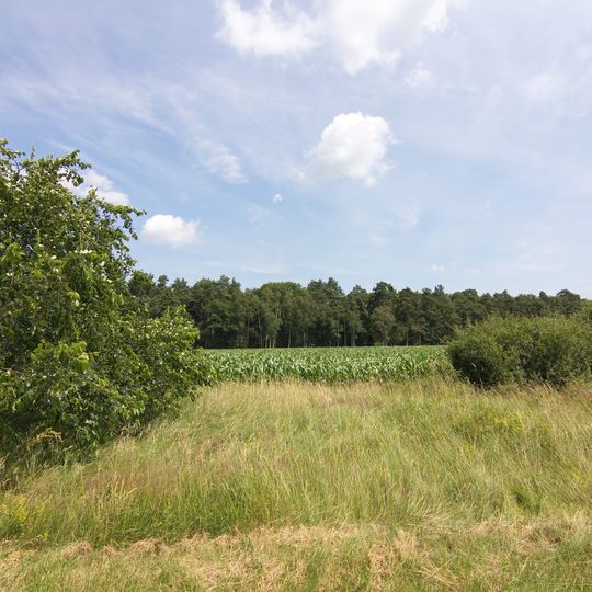 Untere Allerniederung