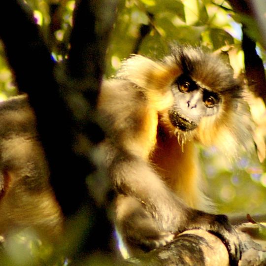 Parque nacional de Manas