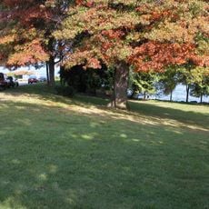 Madison Park